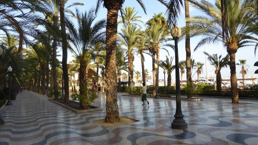 Alicante Top Sea View 29Th Apts Downtown&Beach Экстерьер фото